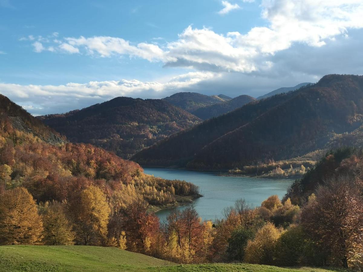 Pensiunea Izvorul Bucuriei Siriu Luaran gambar