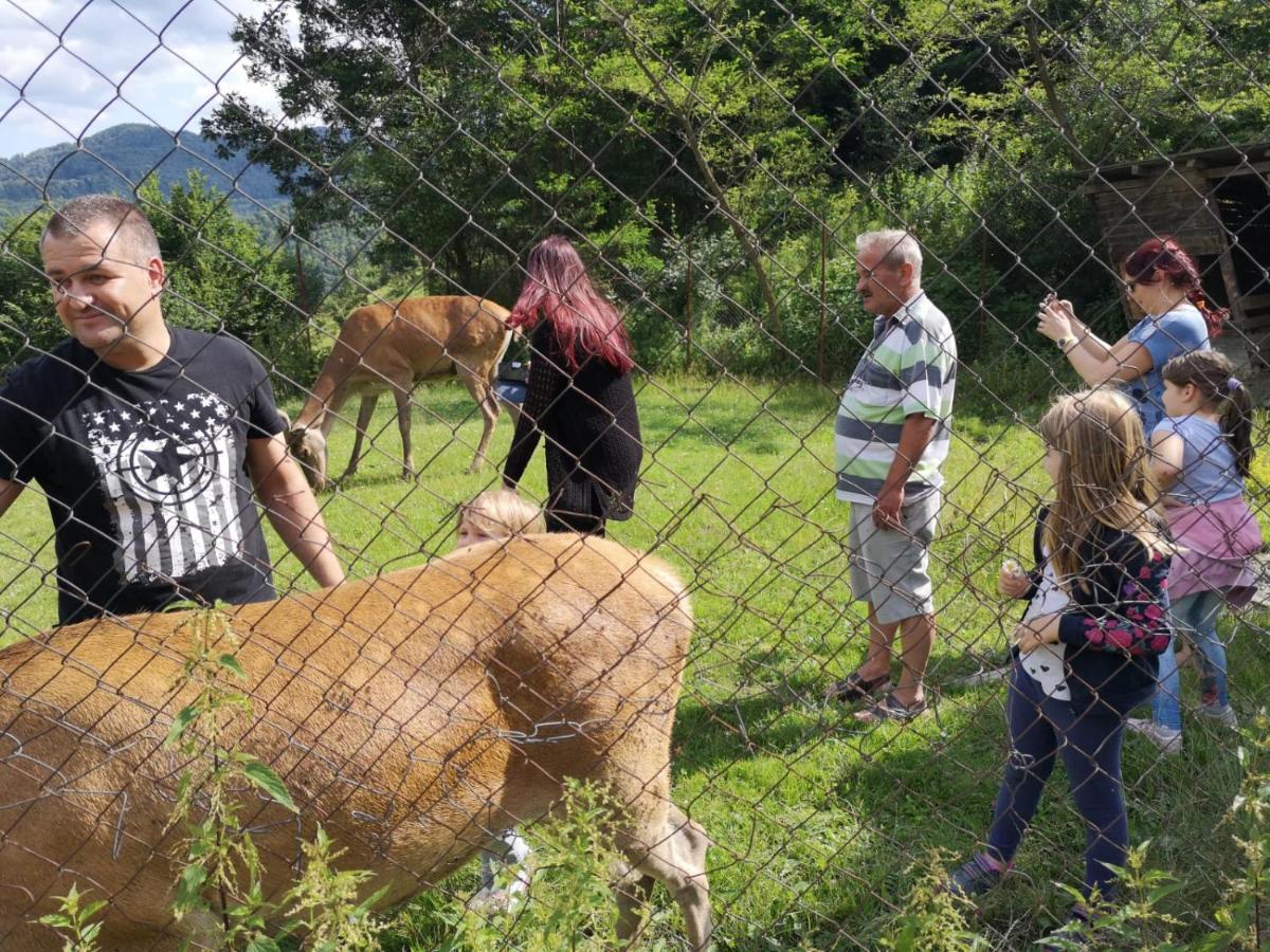Pensiunea Izvorul Bucuriei Siriu Luaran gambar