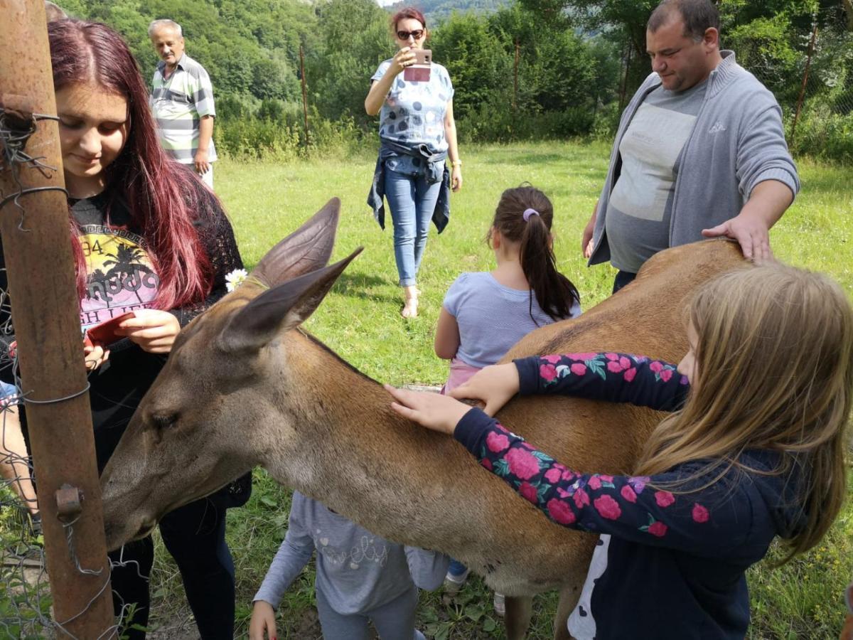 Pensiunea Izvorul Bucuriei Siriu Luaran gambar